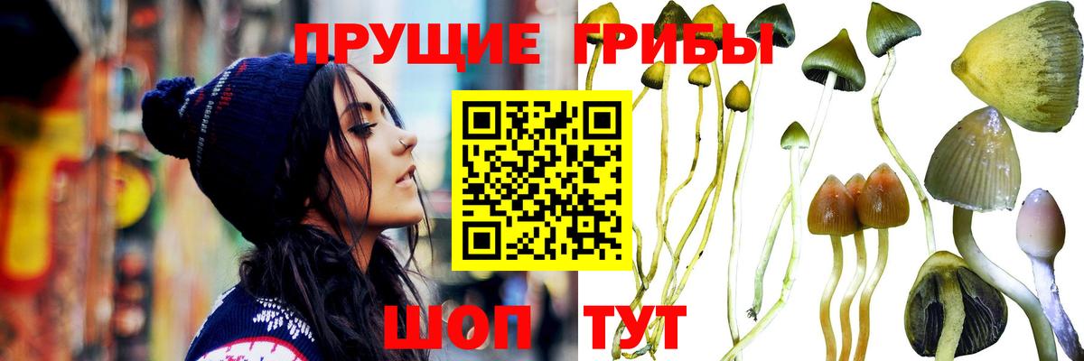 Бутурлиновка  Псилоцибиновые грибы MAGIC MUSHROOMS  Вход с VPN  Галлюциногенные грибы Magic Shrooms 